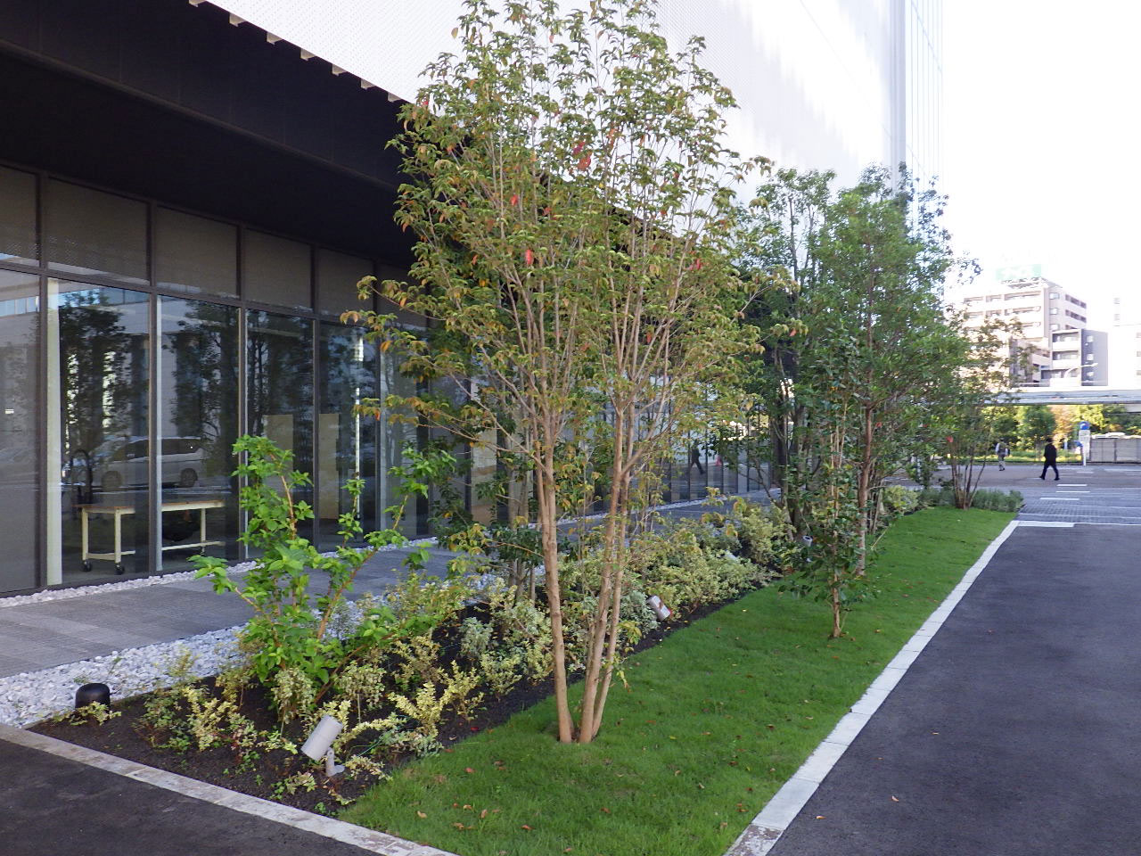 JVCケンウッド横浜市C棟新築に伴う植栽工事